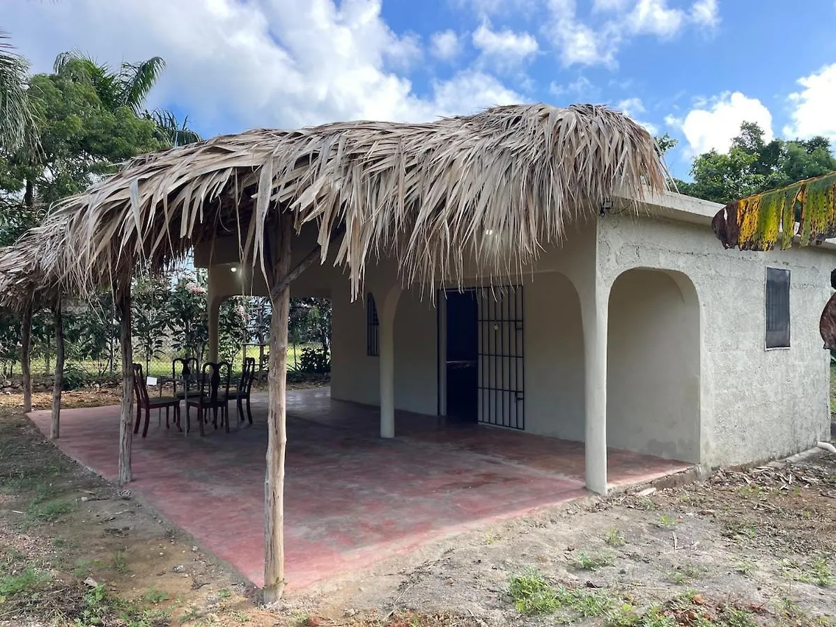 Apartment La Casita Vargas Las Galeras